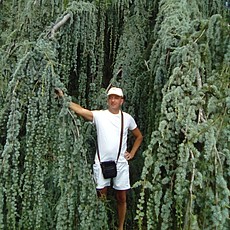 Фотография мужчины Михаил, 56 лет из г. Нижний Тагил